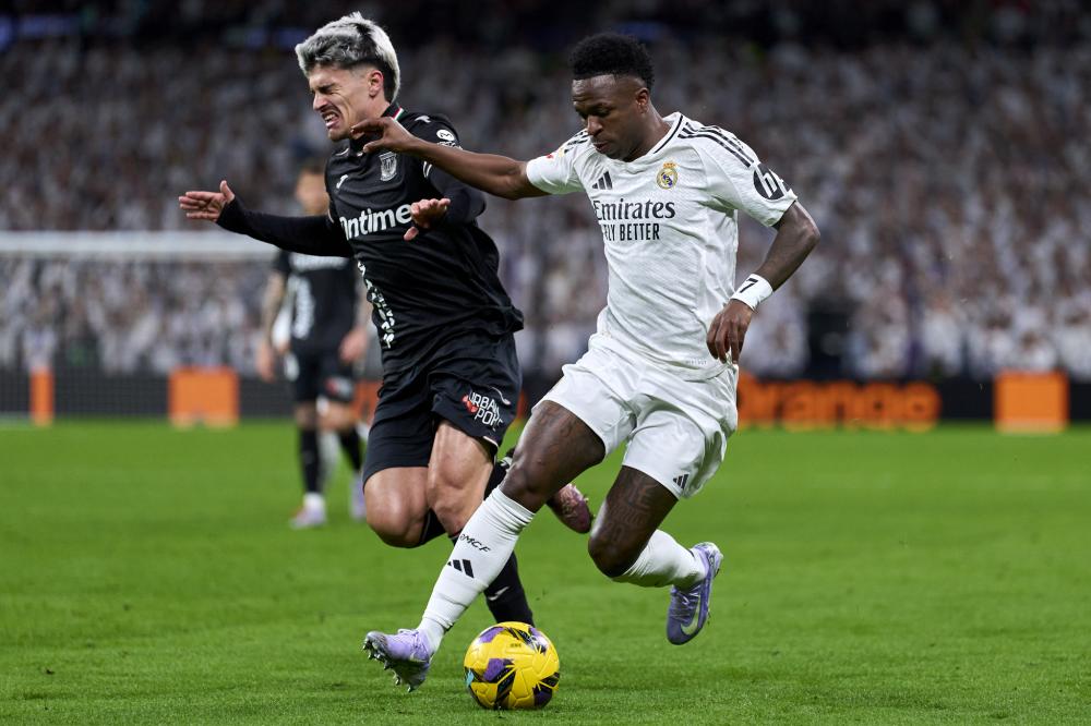 迷们激动不 迷们激动不